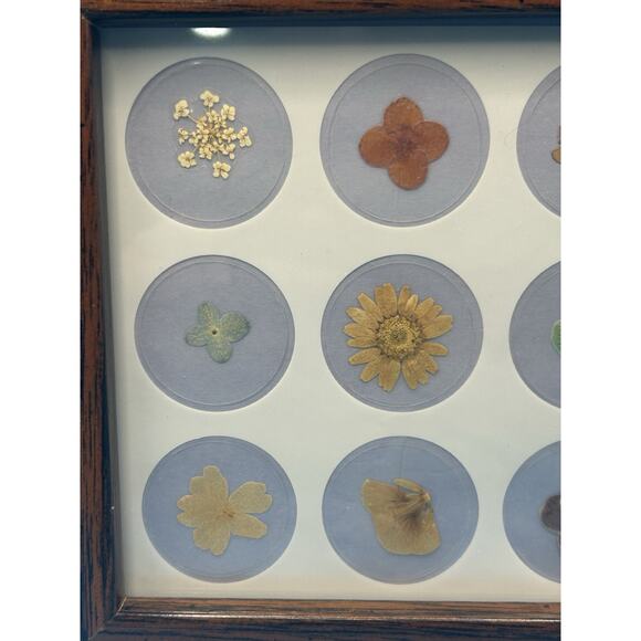 Vintage Small Dried Pressed Flowers In Frame Wall Hanging Decor 6” Square - Picture 2 of 6